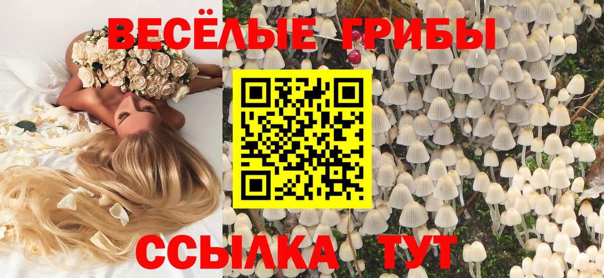Галлюциногенные грибы MAGIC MUSHROOMS Вичуга